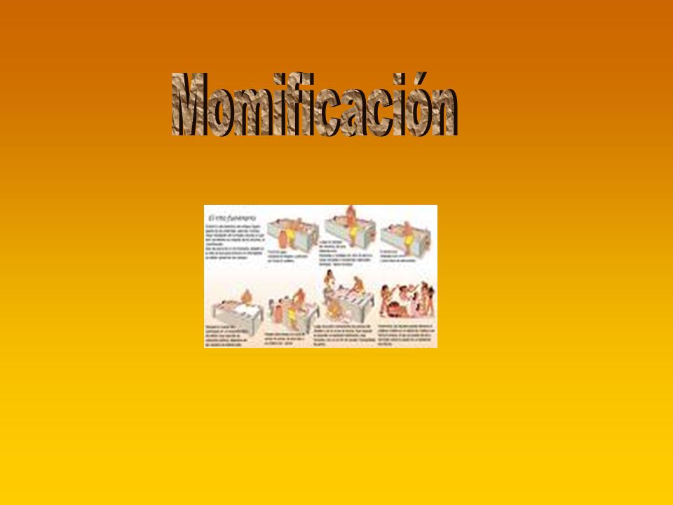 Momificación