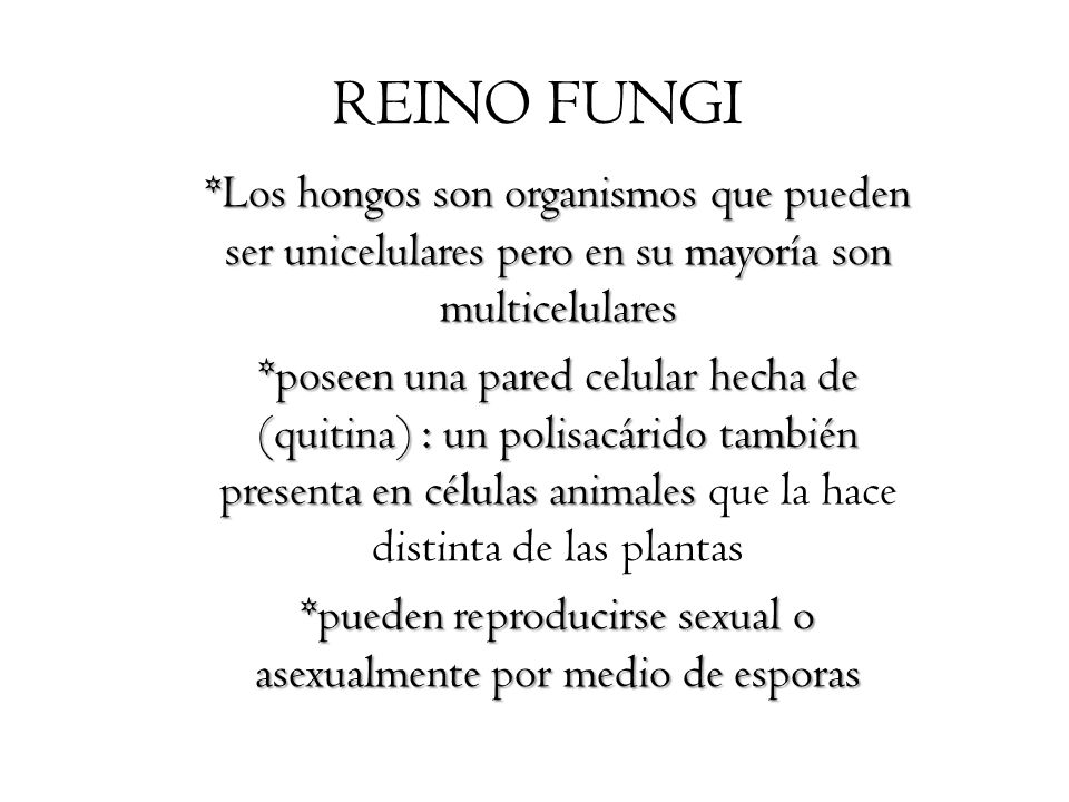 *pueden reproducirse sexual o asexualmente por medio de esporas