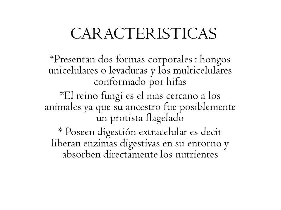 CARACTERISTICAS *Presentan dos formas corporales : hongos unicelulares o levaduras y los multicelulares conformado por hifas.
