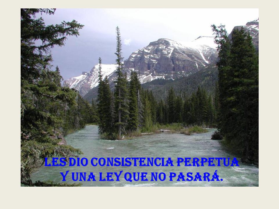 Les dio consistencia perpetua y una ley que no pasará.