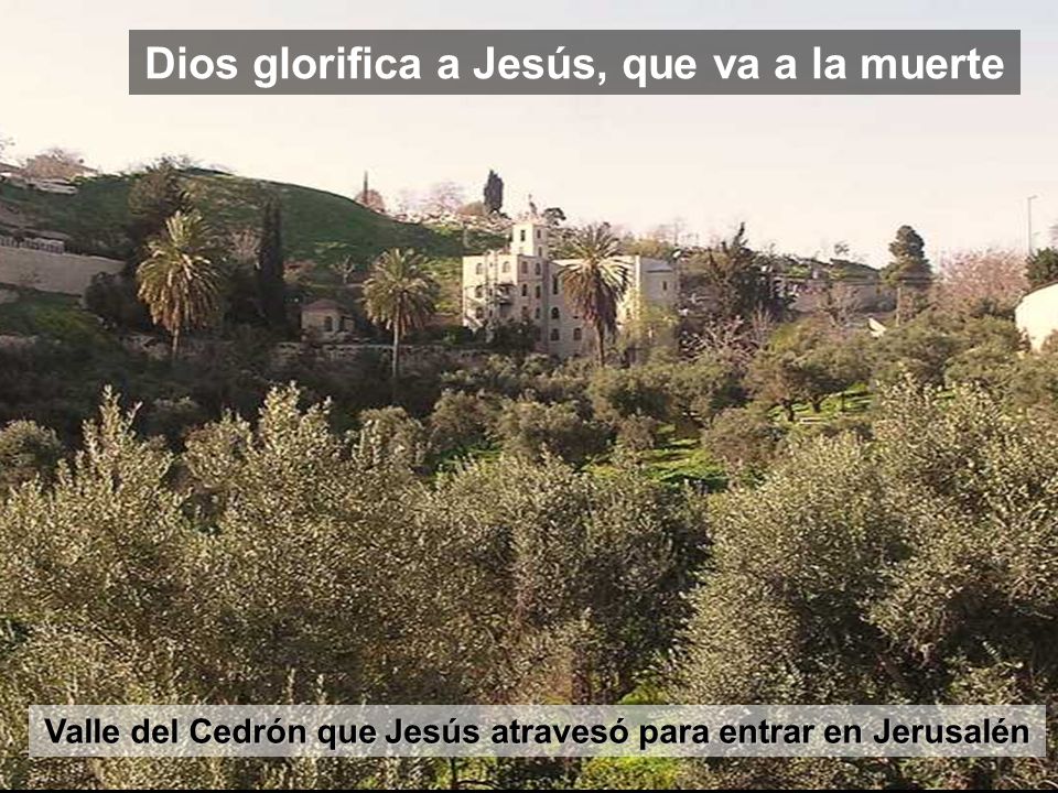 Dios glorifica a Jesús, que va a la muerte