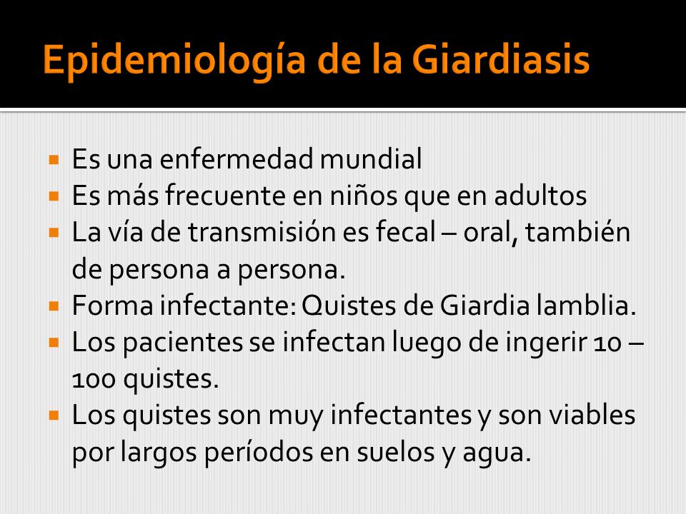 Epidemiologia giardiozei, Epidemiologia giardiozei