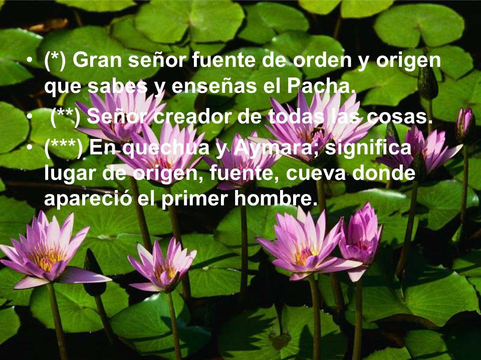 (*) Gran señor fuente de orden y origen que sabes y enseñas el Pacha.