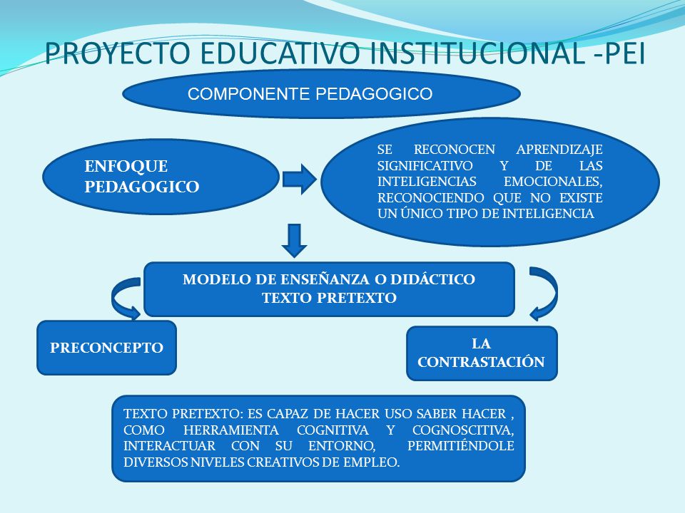 PROYECTO EDUCATIVO INSTITUCIONAL -PEI