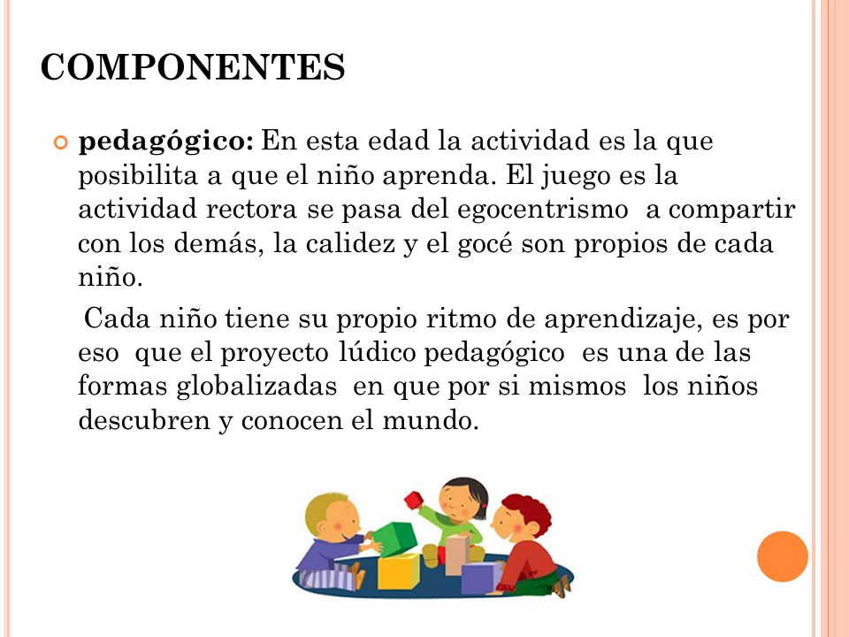 COMPONENTES