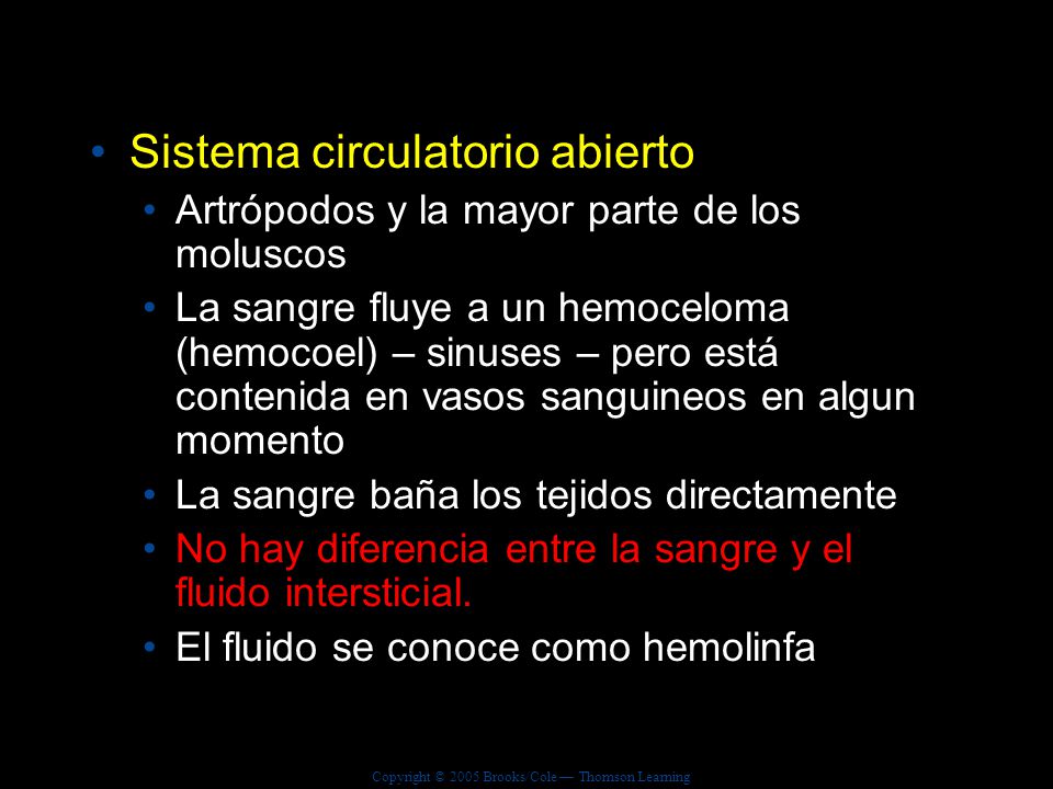 Sistema circulatorio abierto