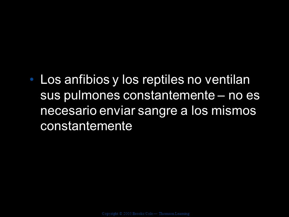 Los anfibios y los reptiles no ventilan sus pulmones constantemente – no es necesario enviar sangre a los mismos constantemente