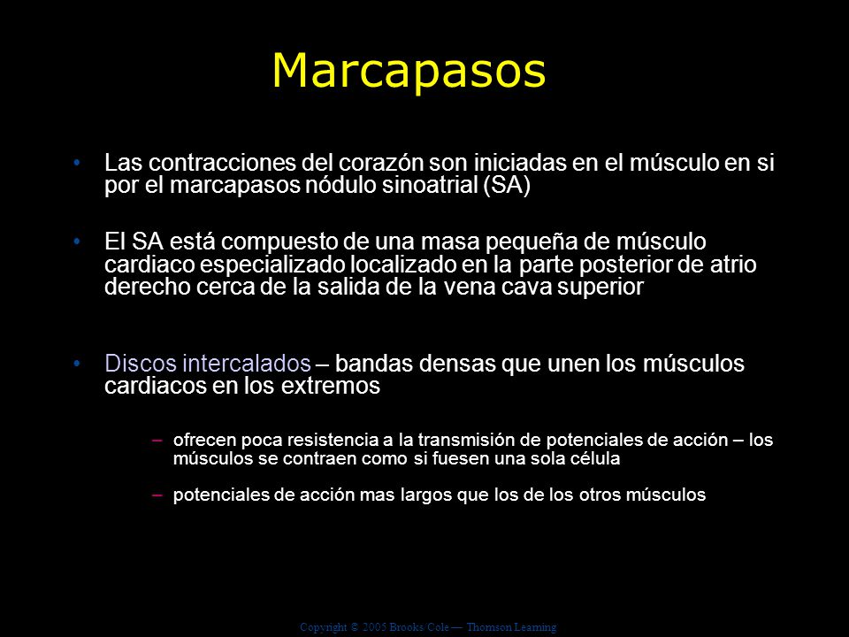 Marcapasos Las contracciones del corazón son iniciadas en el músculo en si por el marcapasos nódulo sinoatrial (SA)