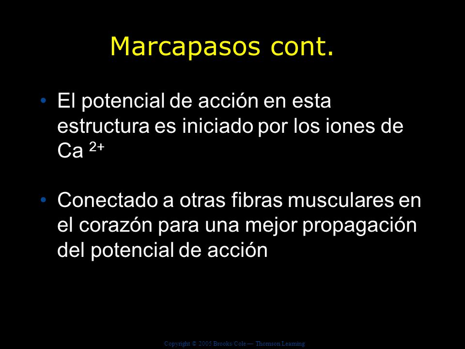 Marcapasos cont. El potencial de acción en esta estructura es iniciado por los iones de Ca 2+