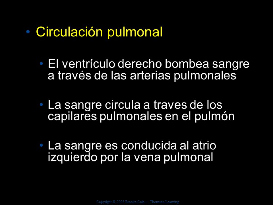 Circulación pulmonal El ventrículo derecho bombea sangre a través de las arterias pulmonales.