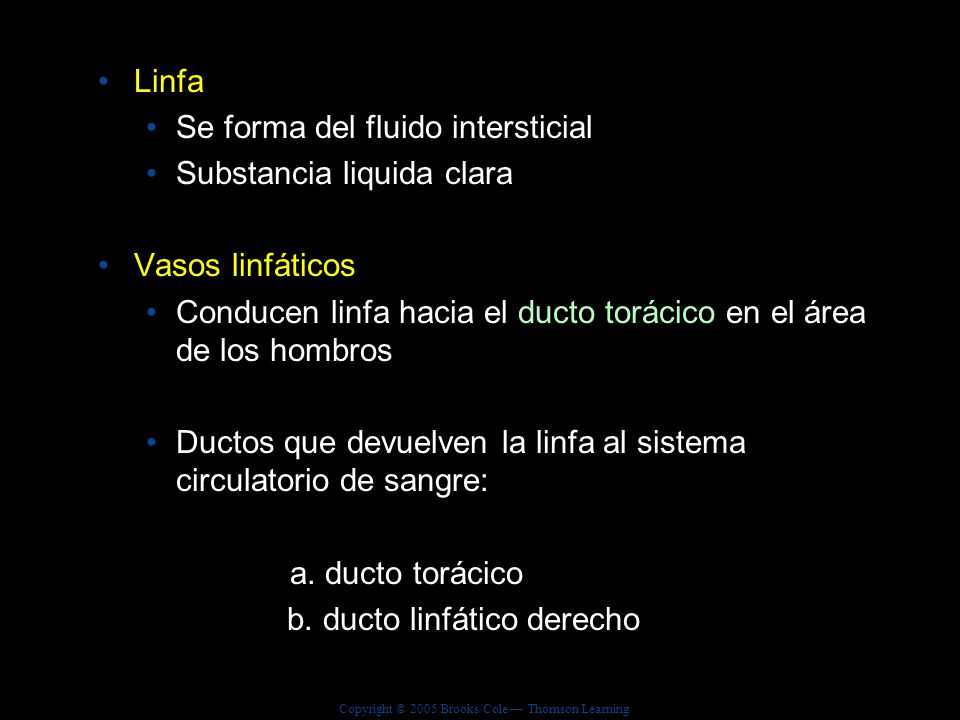 Linfa Se forma del fluido intersticial. Substancia liquida clara. Vasos linfáticos.