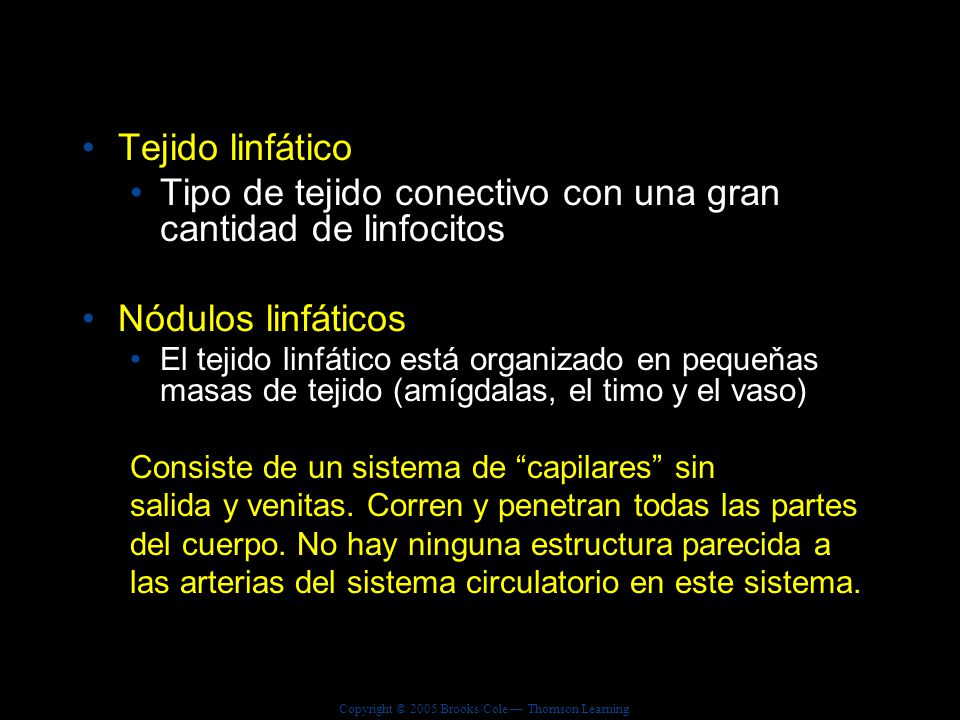 Tipo de tejido conectivo con una gran cantidad de linfocitos