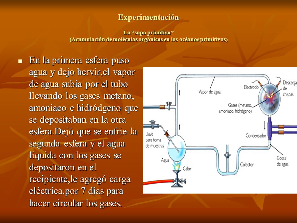 Experimentación La sopa primitiva (Acumulación de moléculas orgánicas en los océanos primitivos)