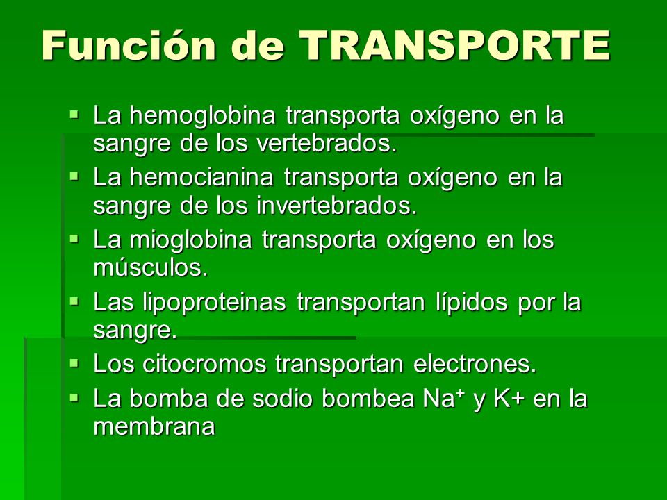 Función de TRANSPORTE La hemoglobina transporta oxígeno en la sangre de los vertebrados.