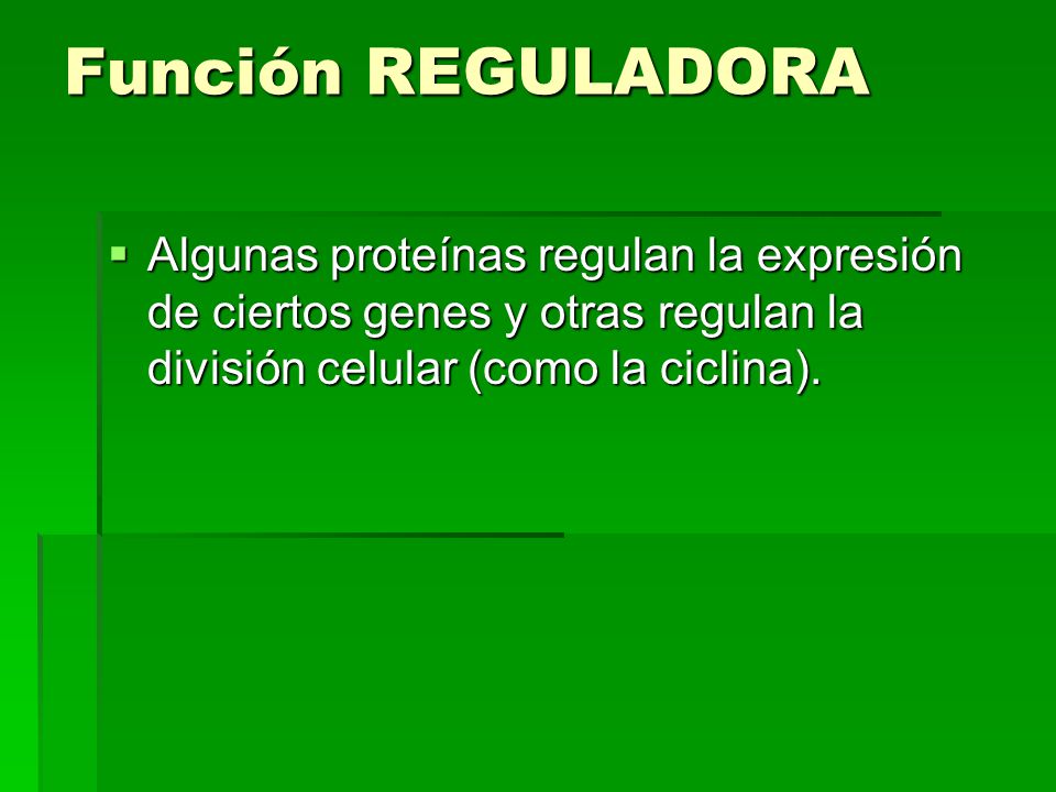 Función REGULADORA Algunas proteínas regulan la expresión de ciertos genes y otras regulan la división celular (como la ciclina).