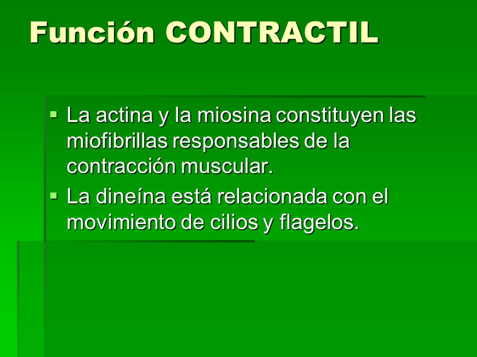 Función CONTRACTIL La actina y la miosina constituyen las miofibrillas responsables de la contracción muscular.