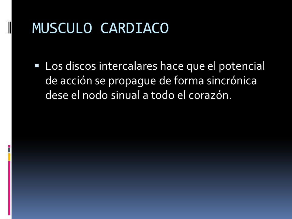 MUSCULO CARDIACO Los discos intercalares hace que el potencial de acción se propague de forma sincrónica dese el nodo sinual a todo el corazón.