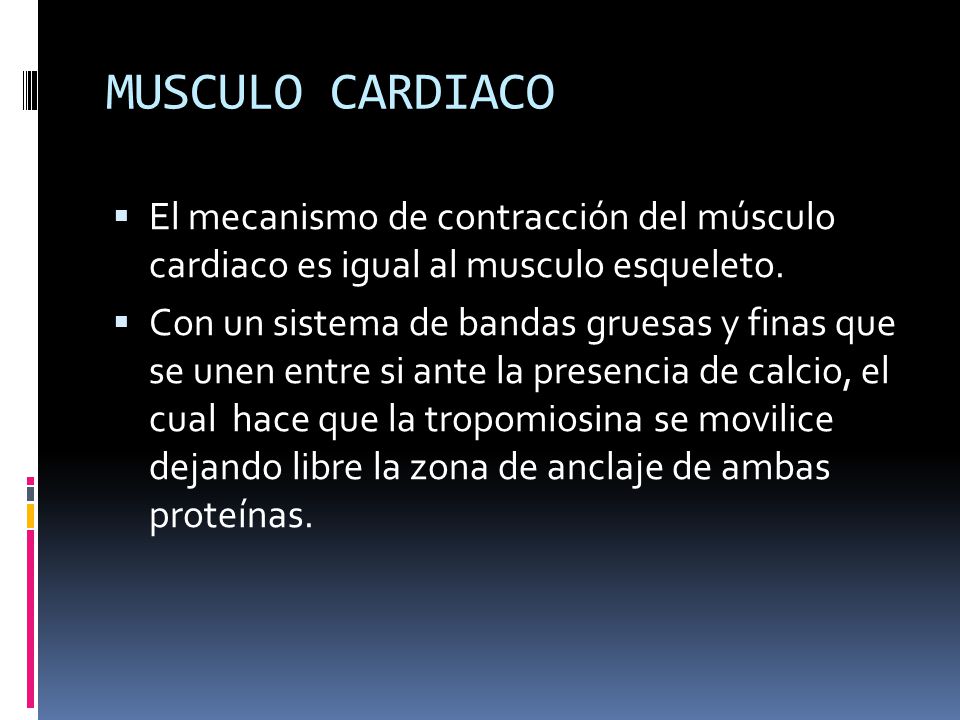 MUSCULO CARDIACO El mecanismo de contracción del músculo cardiaco es igual al musculo esqueleto.