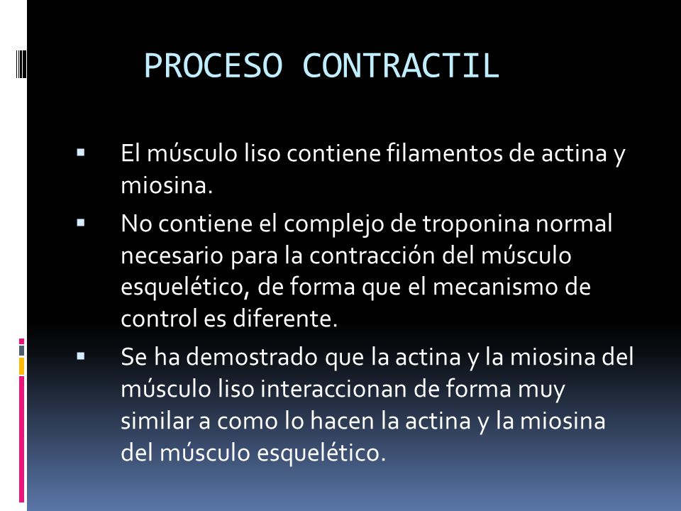 PROCESO CONTRACTIL El músculo liso contiene filamentos de actina y miosina.