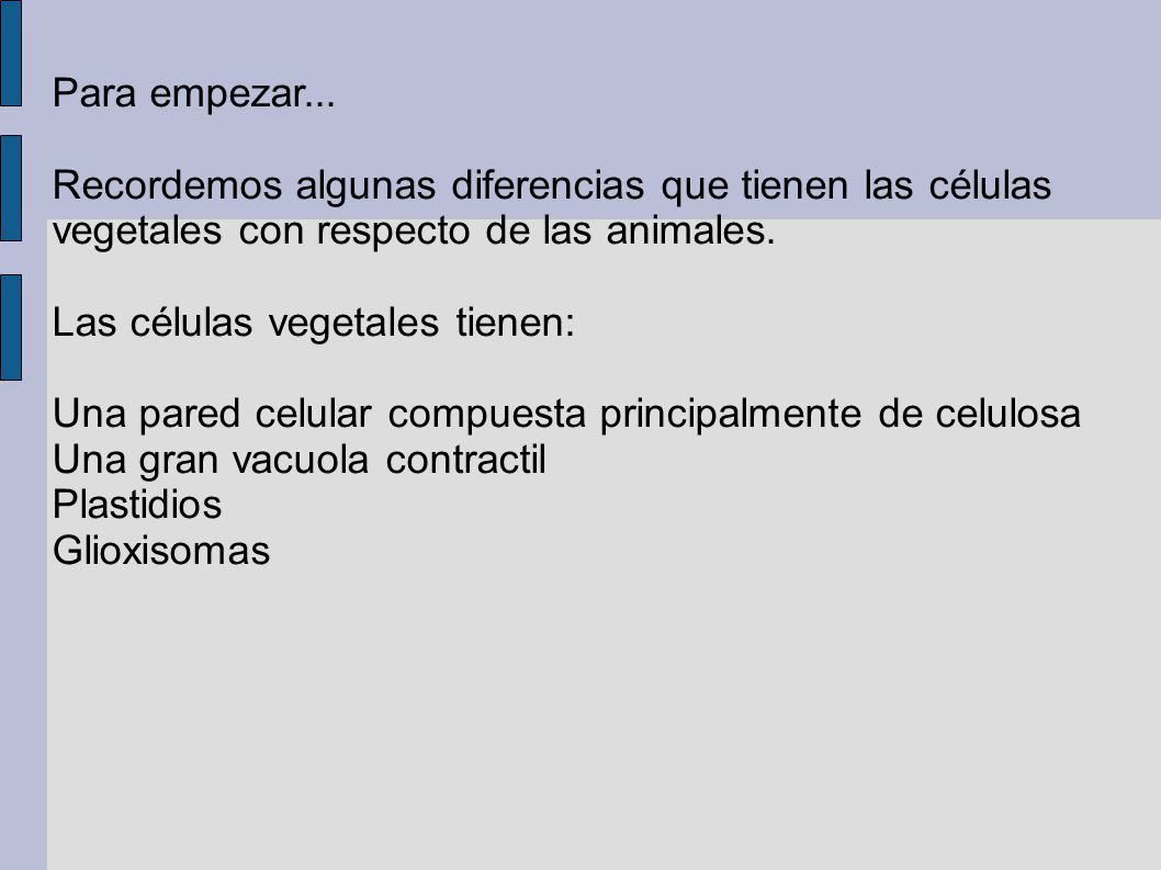 Para empezar... Recordemos algunas diferencias que tienen las células vegetales con respecto de las animales.