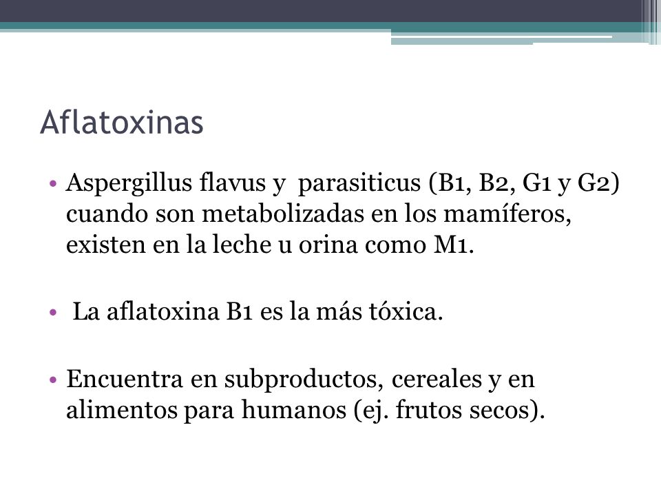 Aflatoxinas Aspergillus flavus y parasiticus (B1, B2, G1 y G2) cuando son metabolizadas en los mamíferos, existen en la leche u orina como M1.