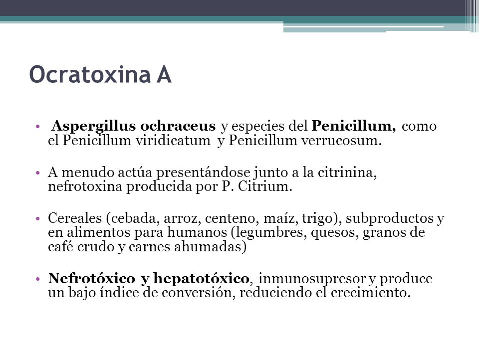Ocratoxina A Aspergillus ochraceus y especies del Penicillum, como el Penicillum viridicatum y Penicillum verrucosum.