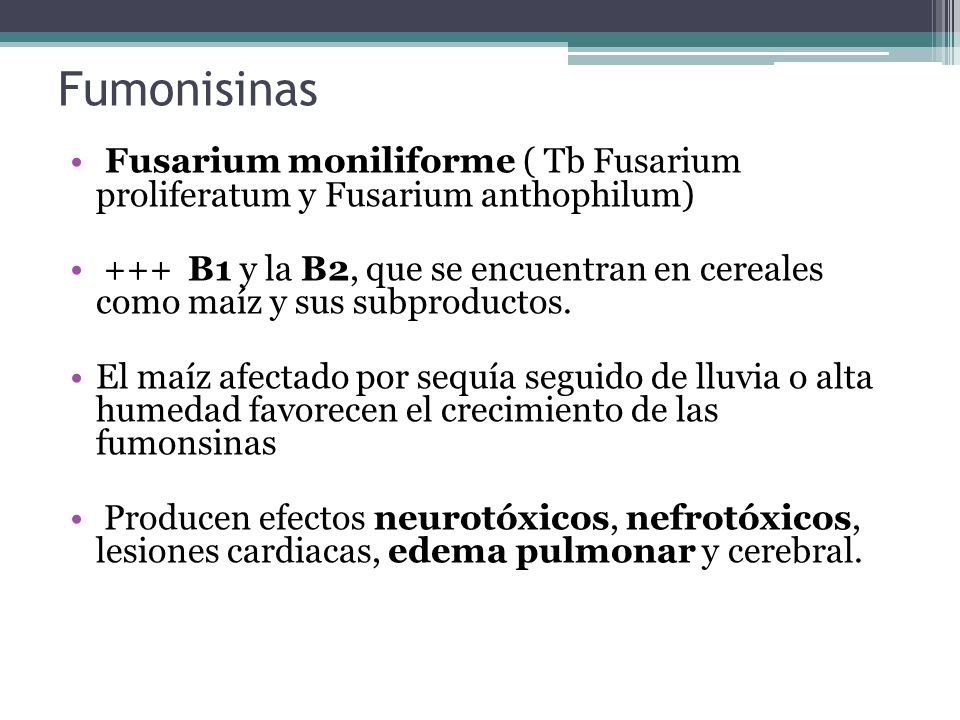 Fumonisinas Fusarium moniliforme ( Tb Fusarium proliferatum y Fusarium anthophilum)