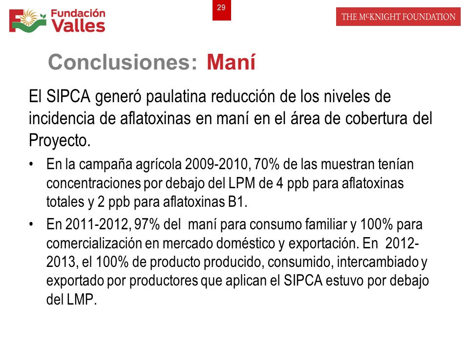 Conclusiones: Maní El SIPCA generó paulatina reducción de los niveles de incidencia de aflatoxinas en maní en el área de cobertura del Proyecto.