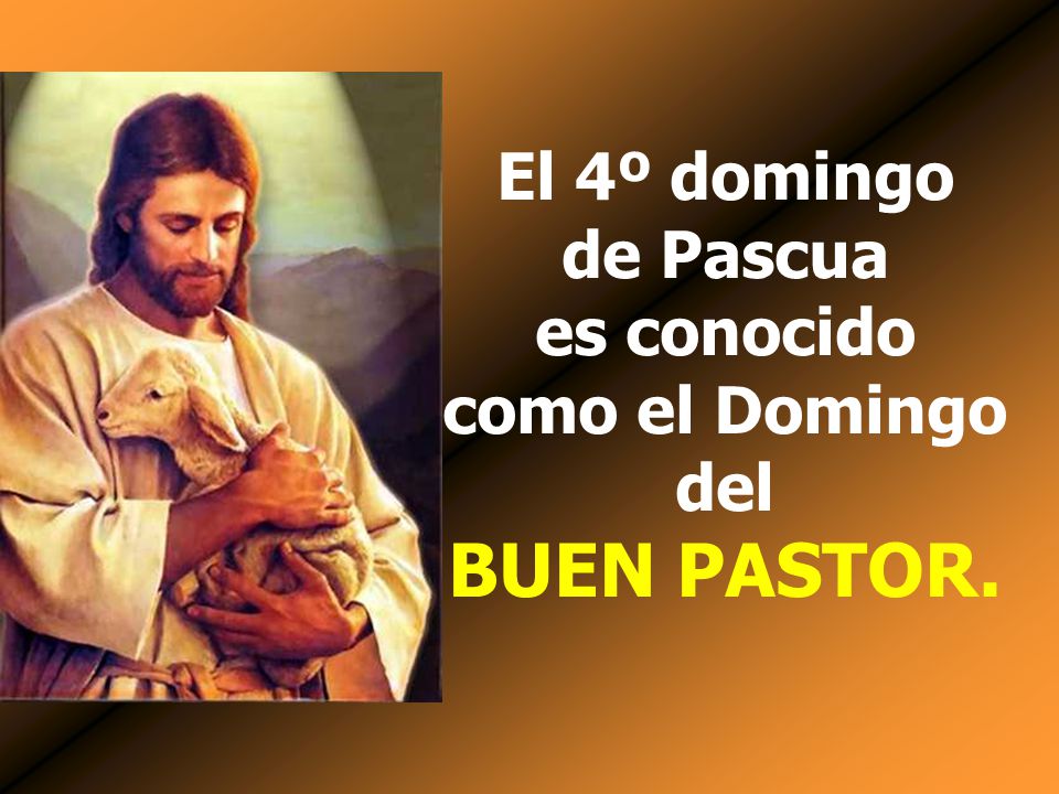 El 4º domingo de Pascua es conocido como el Domingo del