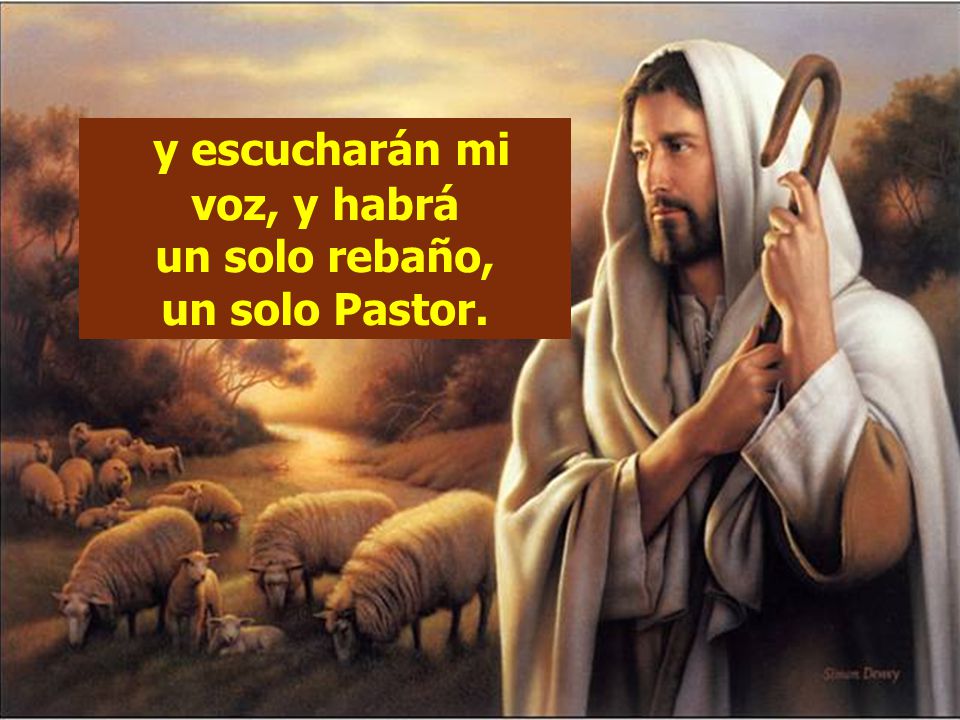 y escucharán mi voz, y habrá un solo rebaño, un solo Pastor.