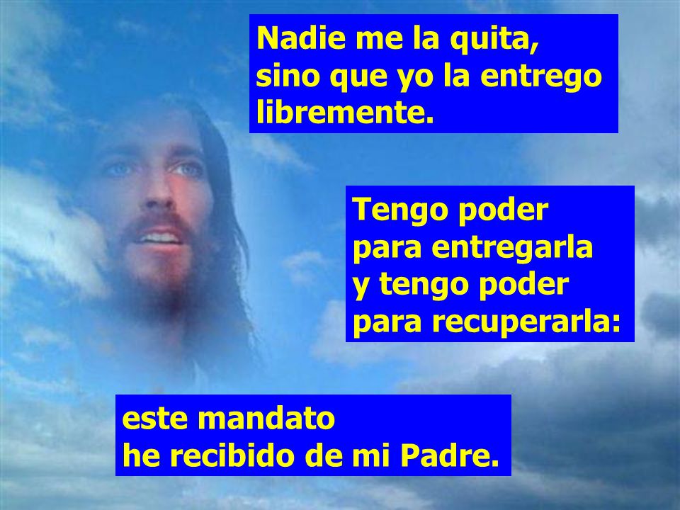 Nadie me la quita, sino que yo la entrego libremente.