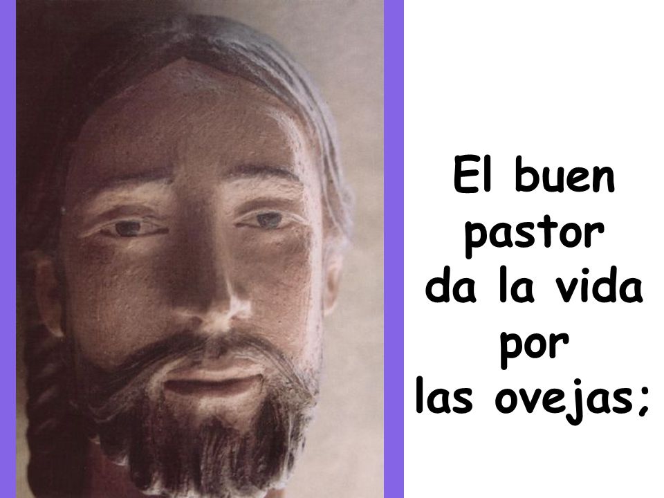 El buen pastor da la vida por las ovejas;