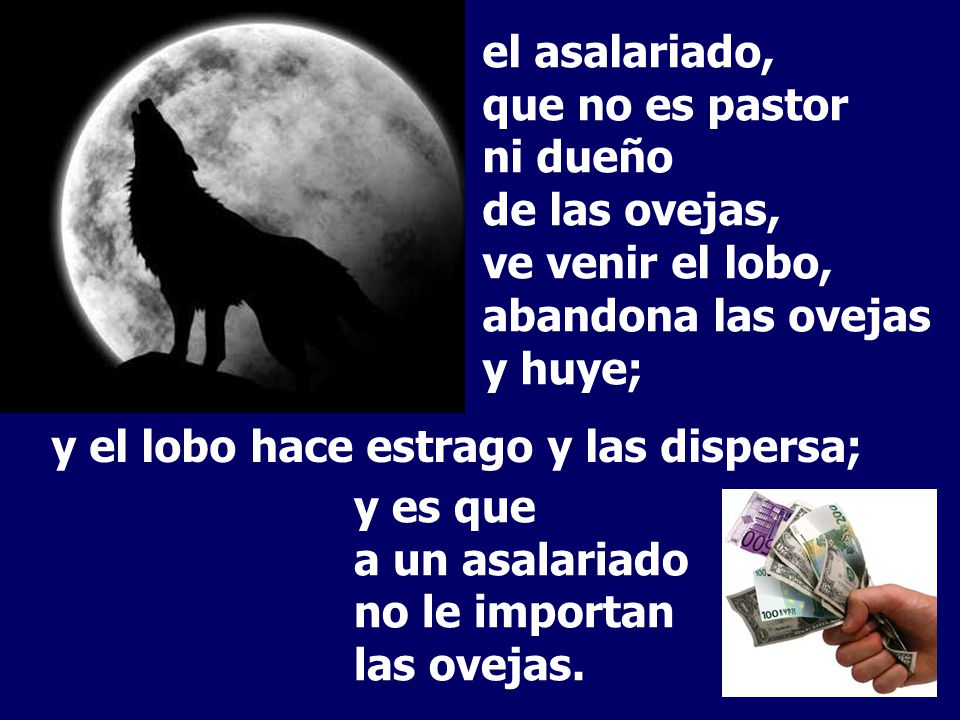 el asalariado, que no es pastor ni dueño de las ovejas, ve venir el lobo, abandona las ovejas y huye;