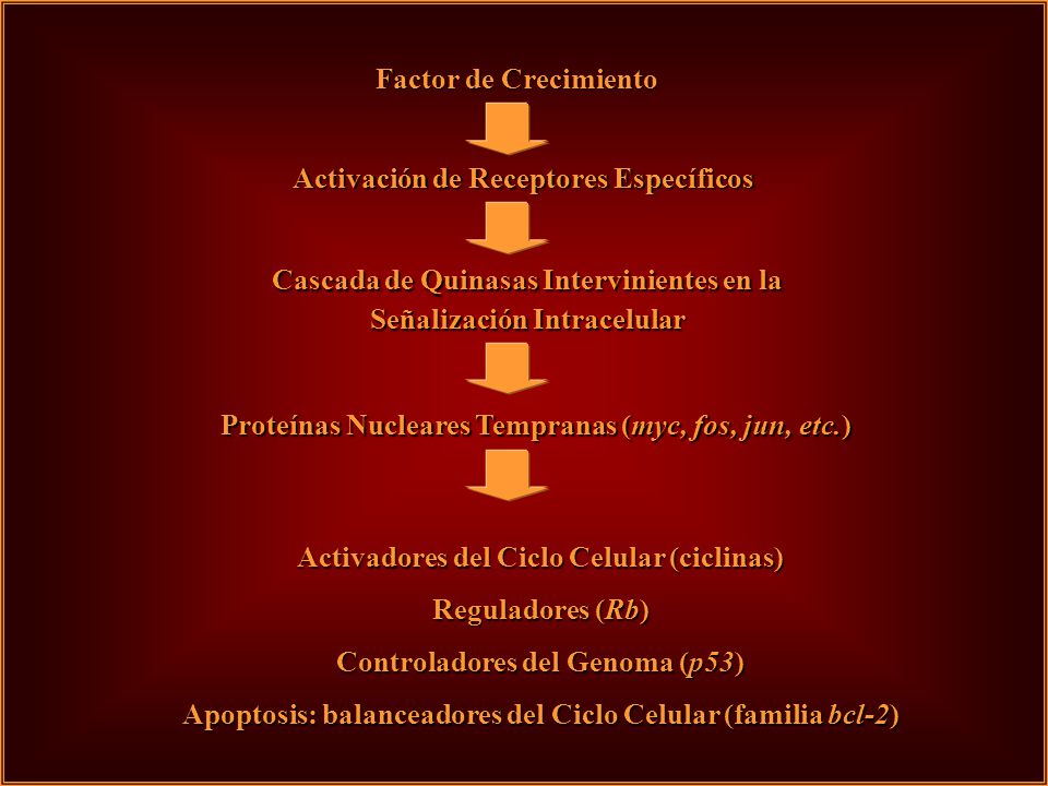 Activación de Receptores Específicos