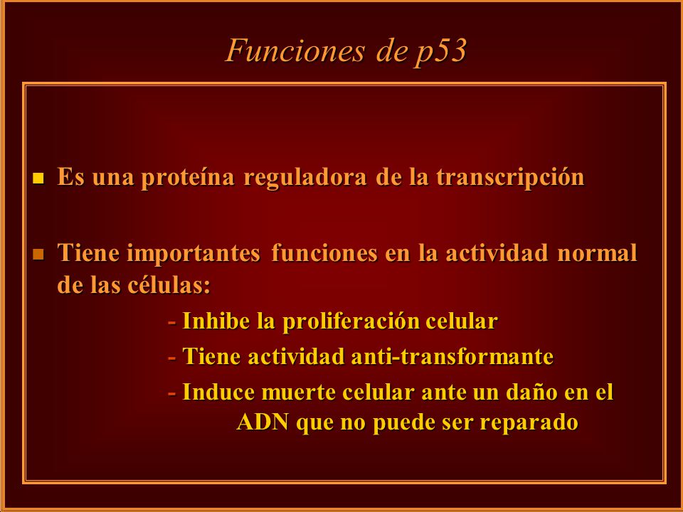 Funciones de p53 Es una proteína reguladora de la transcripción