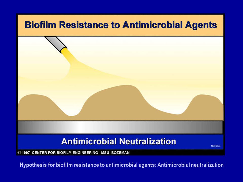 Hypothesis for biofilm resistance to antimicrobial agents: Antimicrobial neutralization