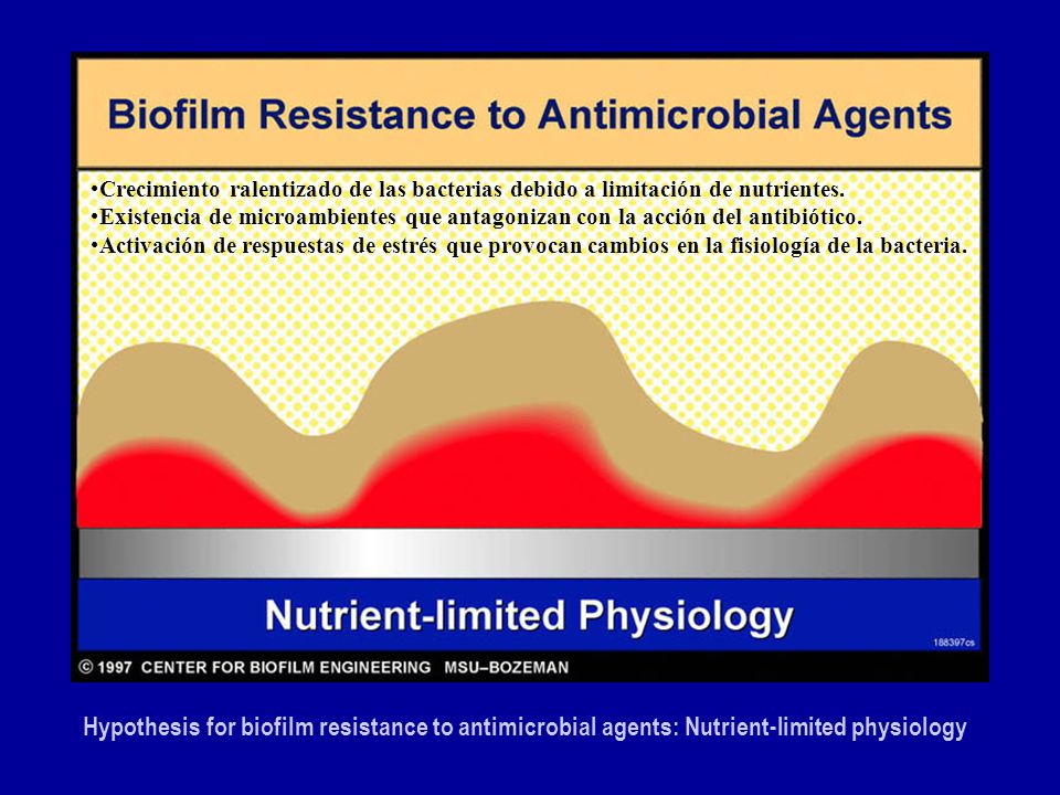 Crecimiento ralentizado de las bacterias debido a limitación de nutrientes.