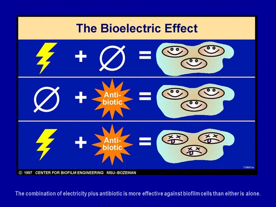 The combination of electricity plus antibiotic is more effective against biofilm cells than either is alone.