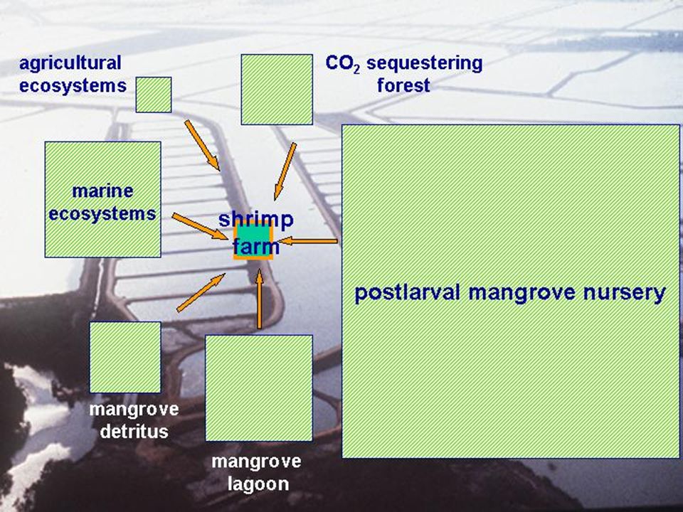 « ecological footprint » concept voor het bepalen van de impakt van