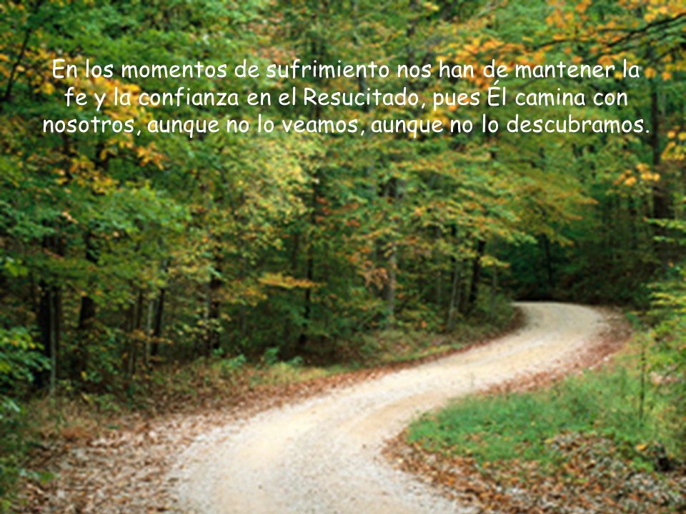 En los momentos de sufrimiento nos han de mantener la fe y la confianza en el Resucitado, pues Él camina con nosotros, aunque no lo veamos, aunque no lo descubramos.