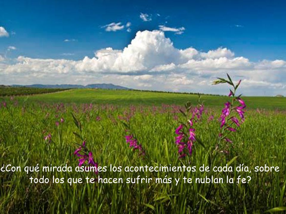 ¿Con qué mirada asumes los acontecimientos de cada día, sobre todo los que te hacen sufrir más y te nublan la fe
