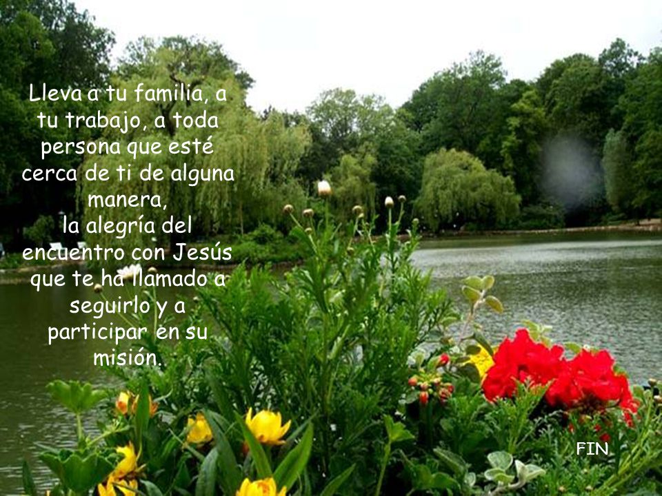 Lleva a tu familia, a tu trabajo, a toda persona que esté cerca de ti de alguna manera, la alegría del encuentro con Jesús que te ha llamado a seguirlo y a participar en su misión.