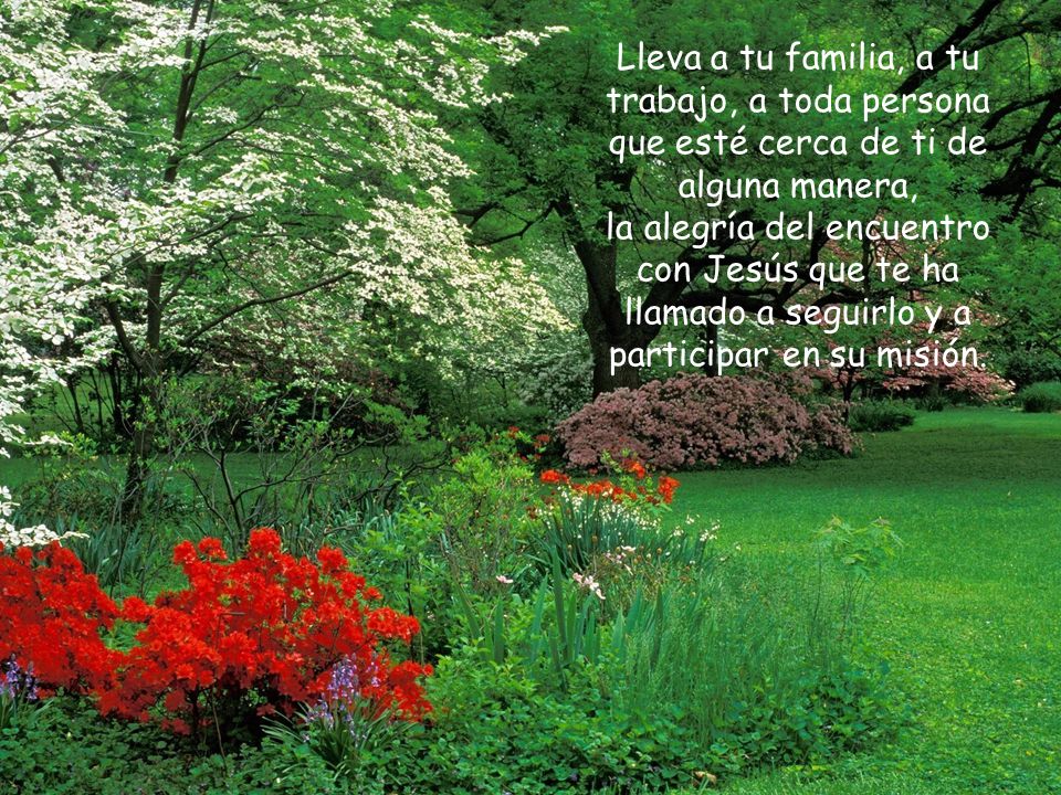 Lleva a tu familia, a tu trabajo, a toda persona que esté cerca de ti de alguna manera, la alegría del encuentro con Jesús que te ha llamado a seguirlo y a participar en su misión.