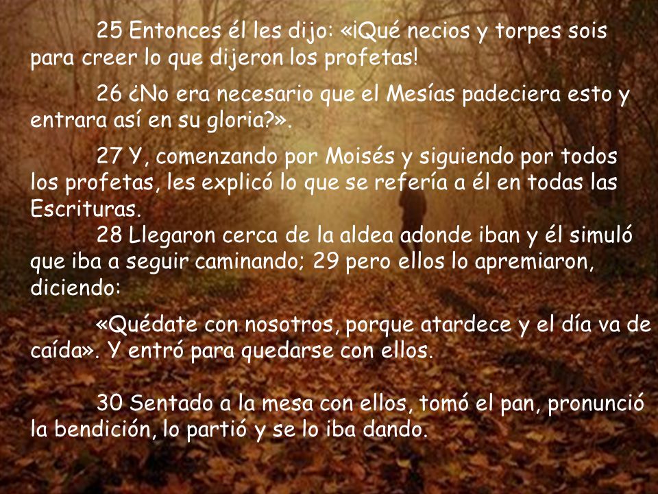 25 Entonces él les dijo: «¡Qué necios y torpes sois para creer lo que dijeron los profetas!