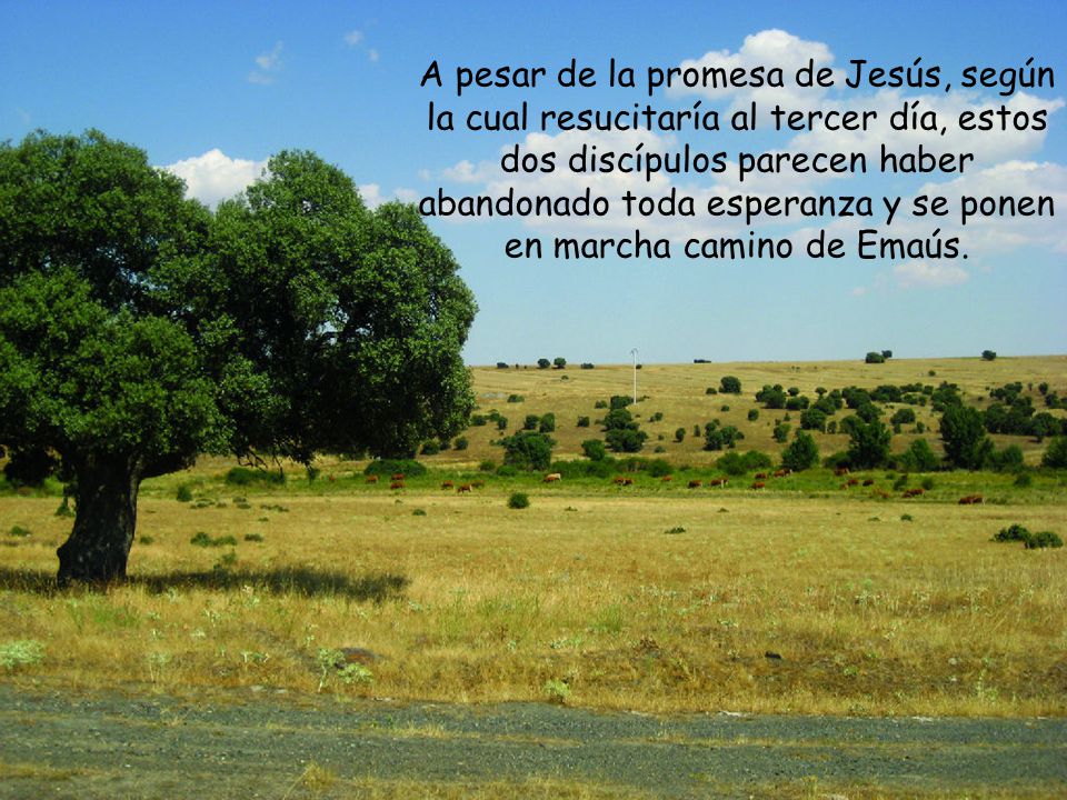A pesar de la promesa de Jesús, según la cual resucitaría al tercer día, estos dos discípulos parecen haber abandonado toda esperanza y se ponen en marcha camino de Emaús.
