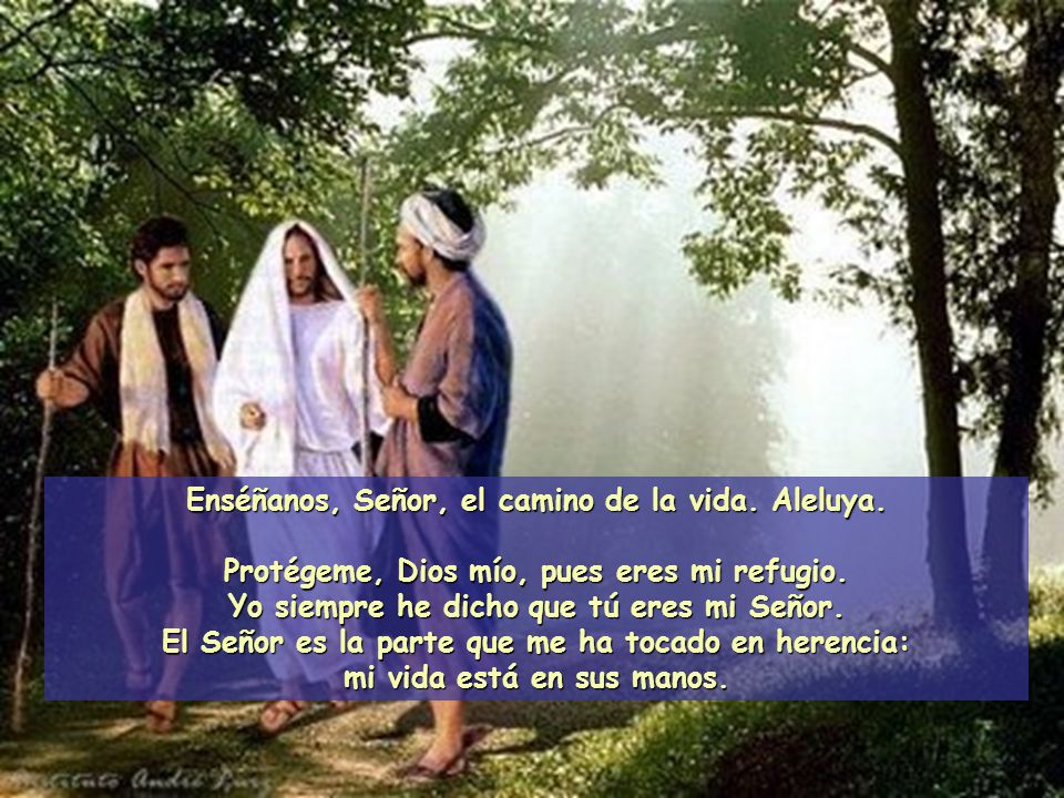 Enséñanos, Señor, el camino de la vida. Aleluya.