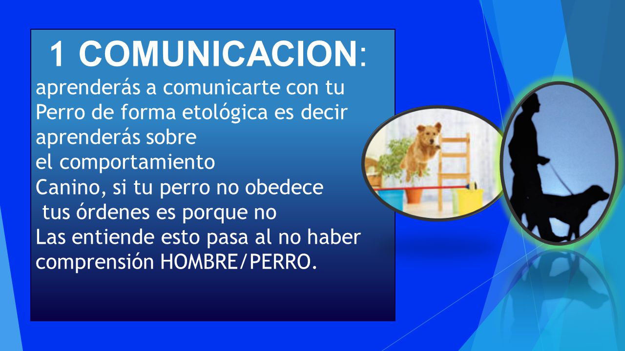 1 COMUNICACION: aprenderás a comunicarte con tu Perro de forma etológica es decir. aprenderás sobre.