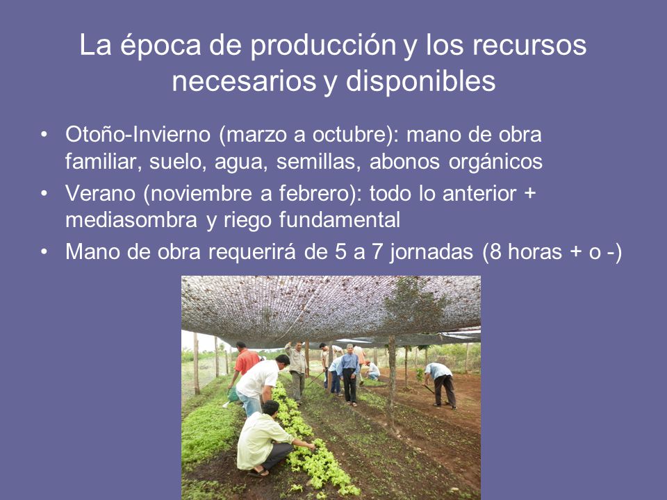 La época de producción y los recursos necesarios y disponibles