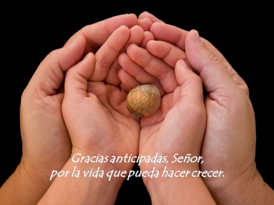 Gracias anticipadas, Señor, por la vida que pueda hacer crecer.