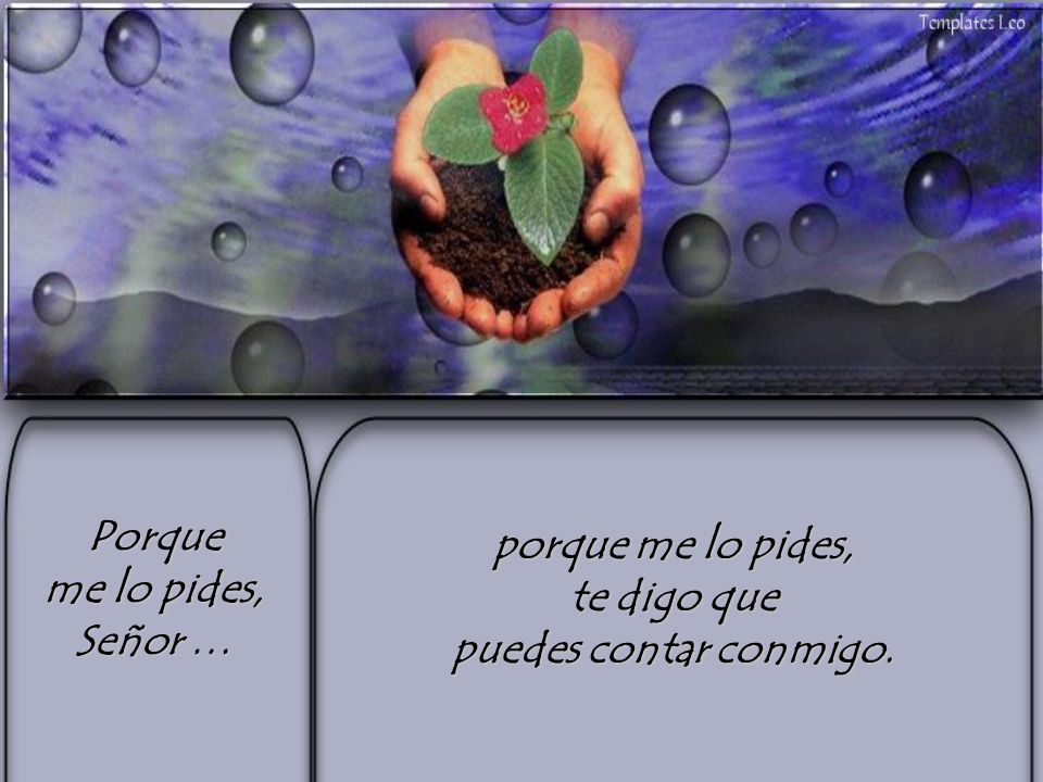 Porque me lo pides, Señor … porque me lo pides, te digo que puedes contar conmigo.